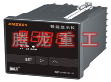 溫度表、數(shù)字顯示儀、濕度表