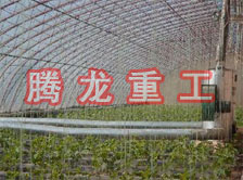 大棚花卉供暖設(shè)備、大棚卉采暖設(shè)備、大棚花卉取暖設(shè)備